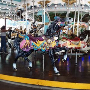 Meet your Posher, Abby